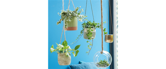 VERTICAL GARDENING