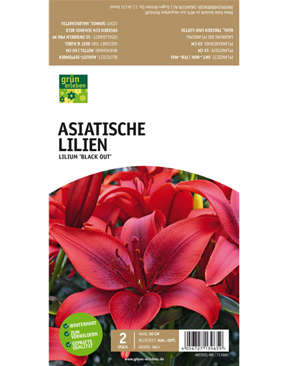 Asiatische Lilien