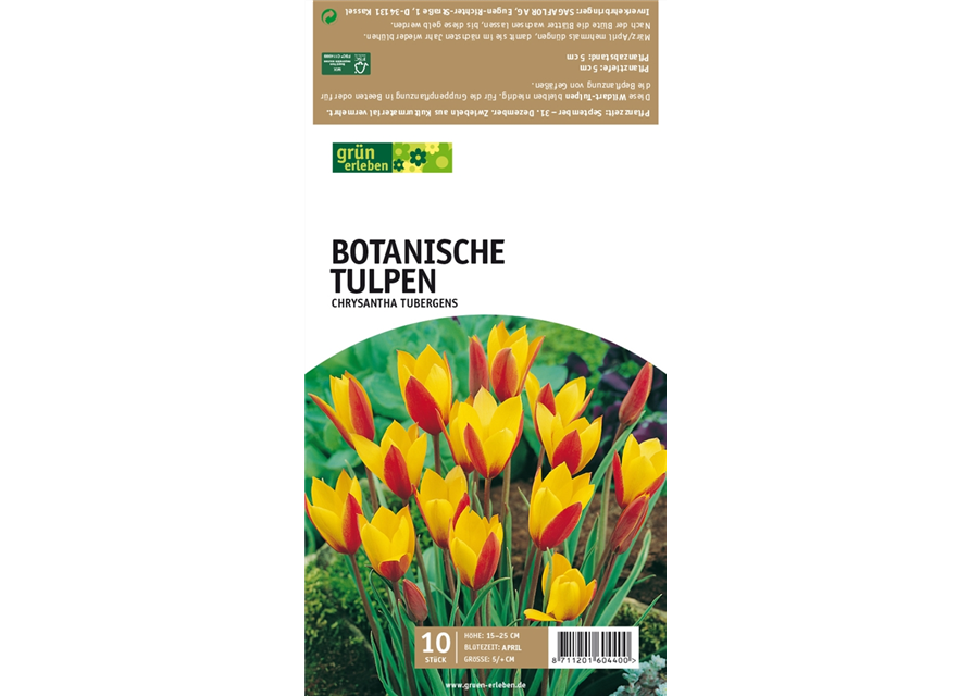 Botan. Wildtulpen