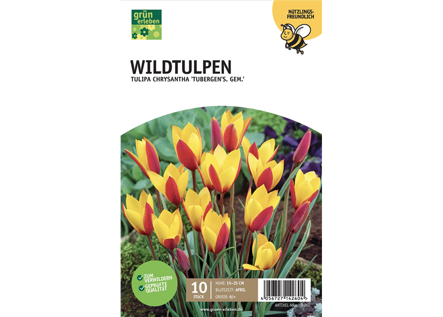 Botan. Wildtulpen