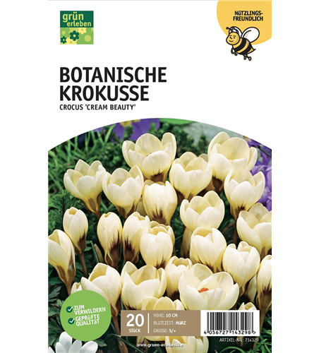 Botanische Krokusse