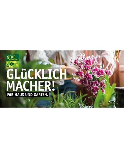 Motiv 7 - Glücklichmacher Orchidee