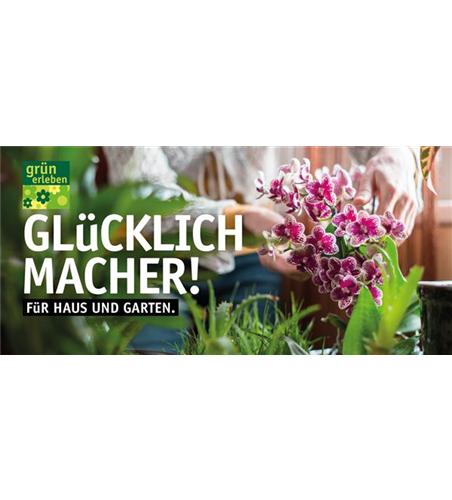 Motiv 7 - Glücklichmacher Orchidee